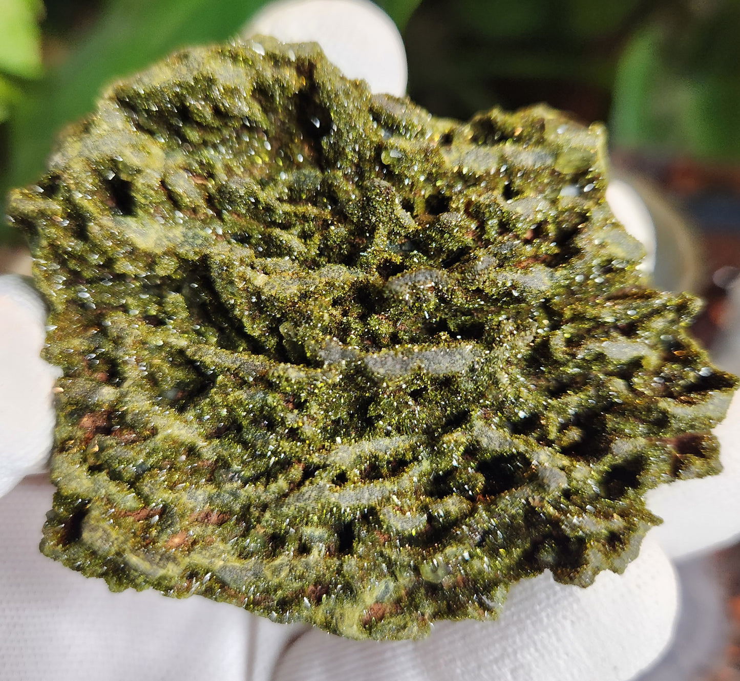 Rare Forest Epidote with Druzy Quartz – Sparkling Green Growth Crystal | Collector Mineral | Grounding & Abundance Stone