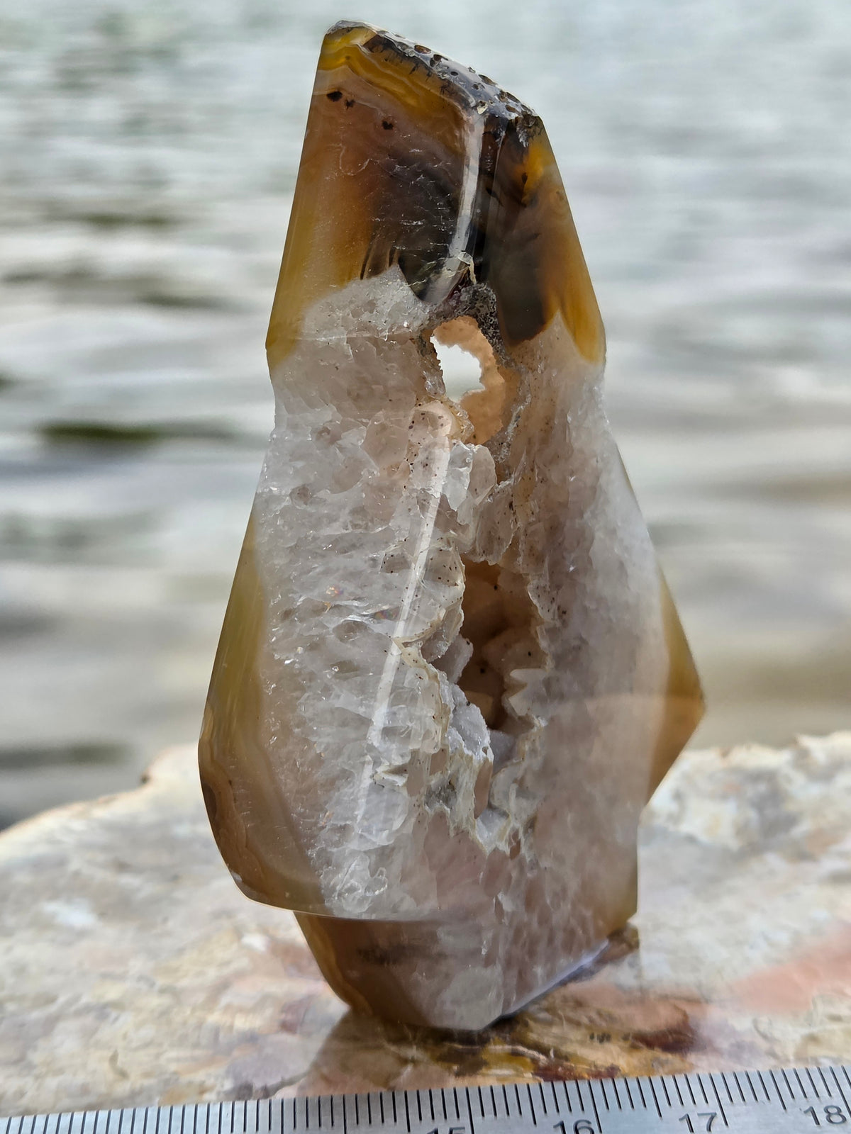 Druzy Agate Tree | Polished Agate Crystal with Druzy Pocket