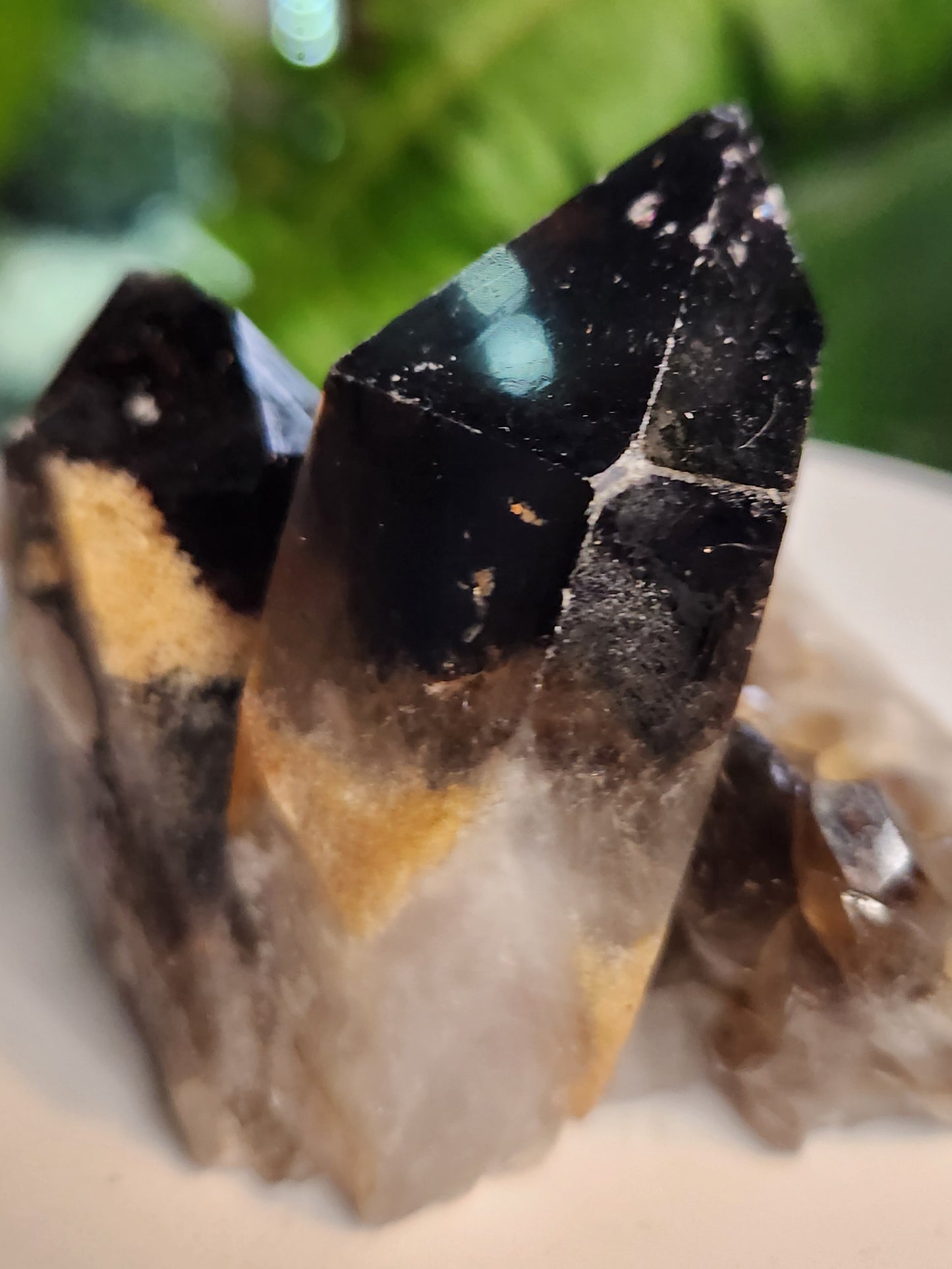 Natural Smoky / Smokey Quartz Crystal Cluster – Dark Smoky Quartz on Matrix - Brazil