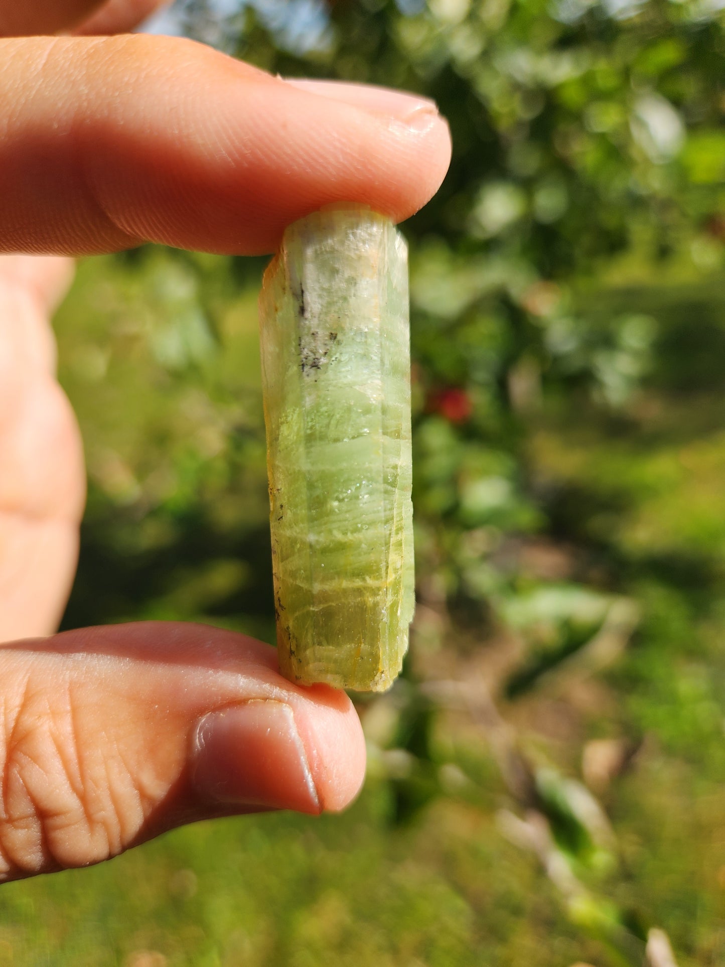 Natural Aquamarine Crystal - Physical & Emotional Healing