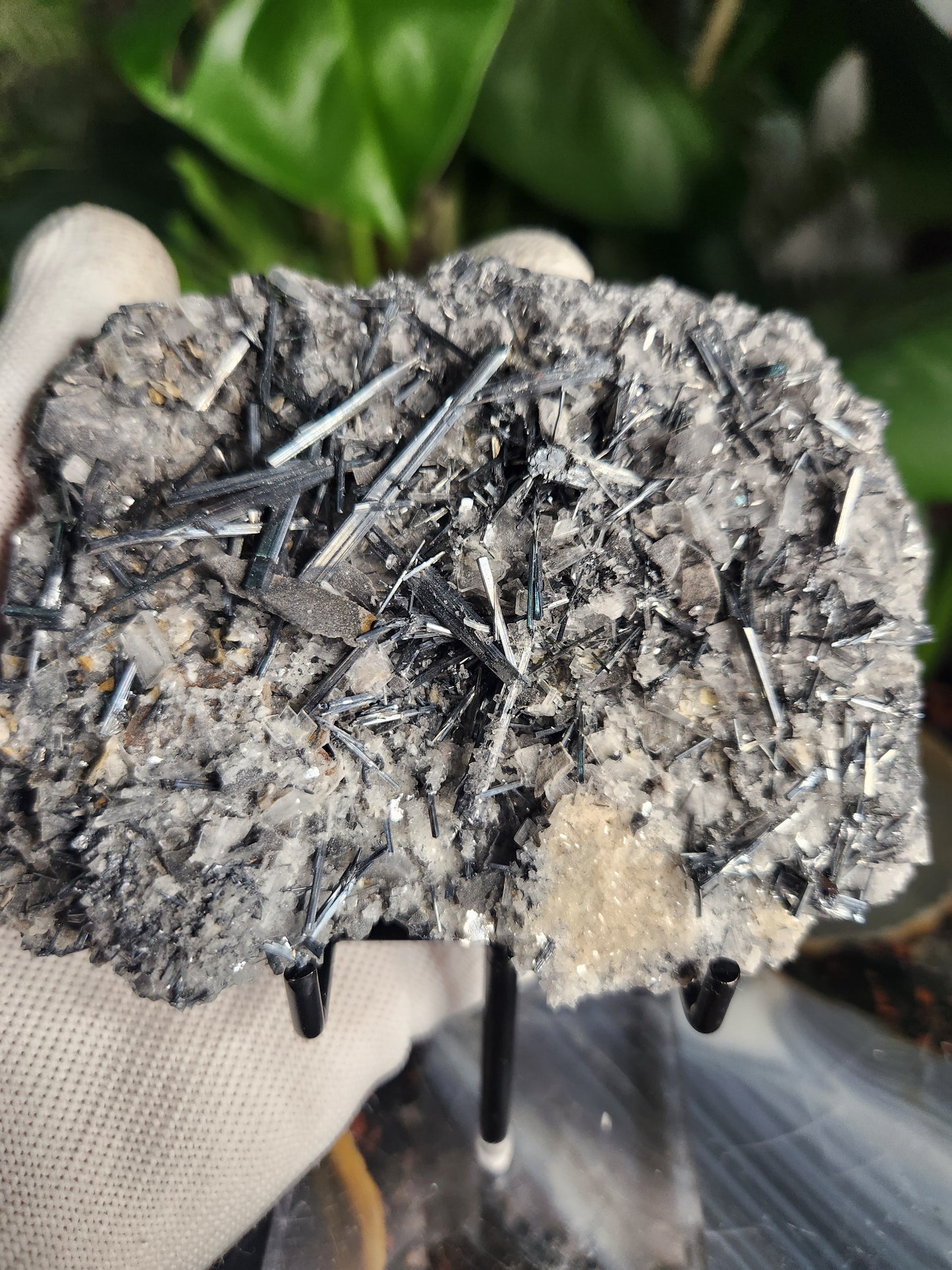 Gorgeous Raw Stibnite Crystal Cluster • Metallic Silver Needle Blades • Rare Collector Mineral Specimen • High-Shine Statement Piece