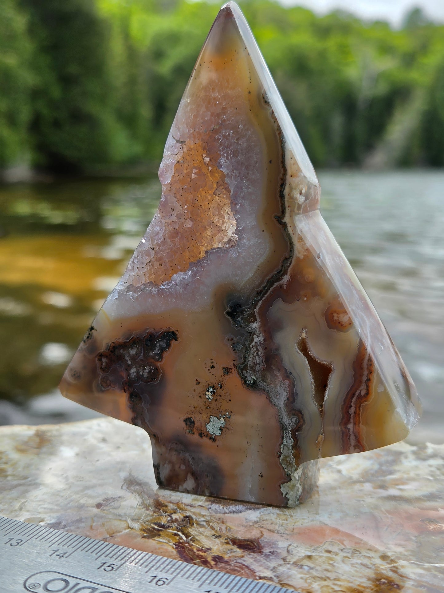 Druzy Agate Tree | Polished Agate Crystal with Druzy Pocket