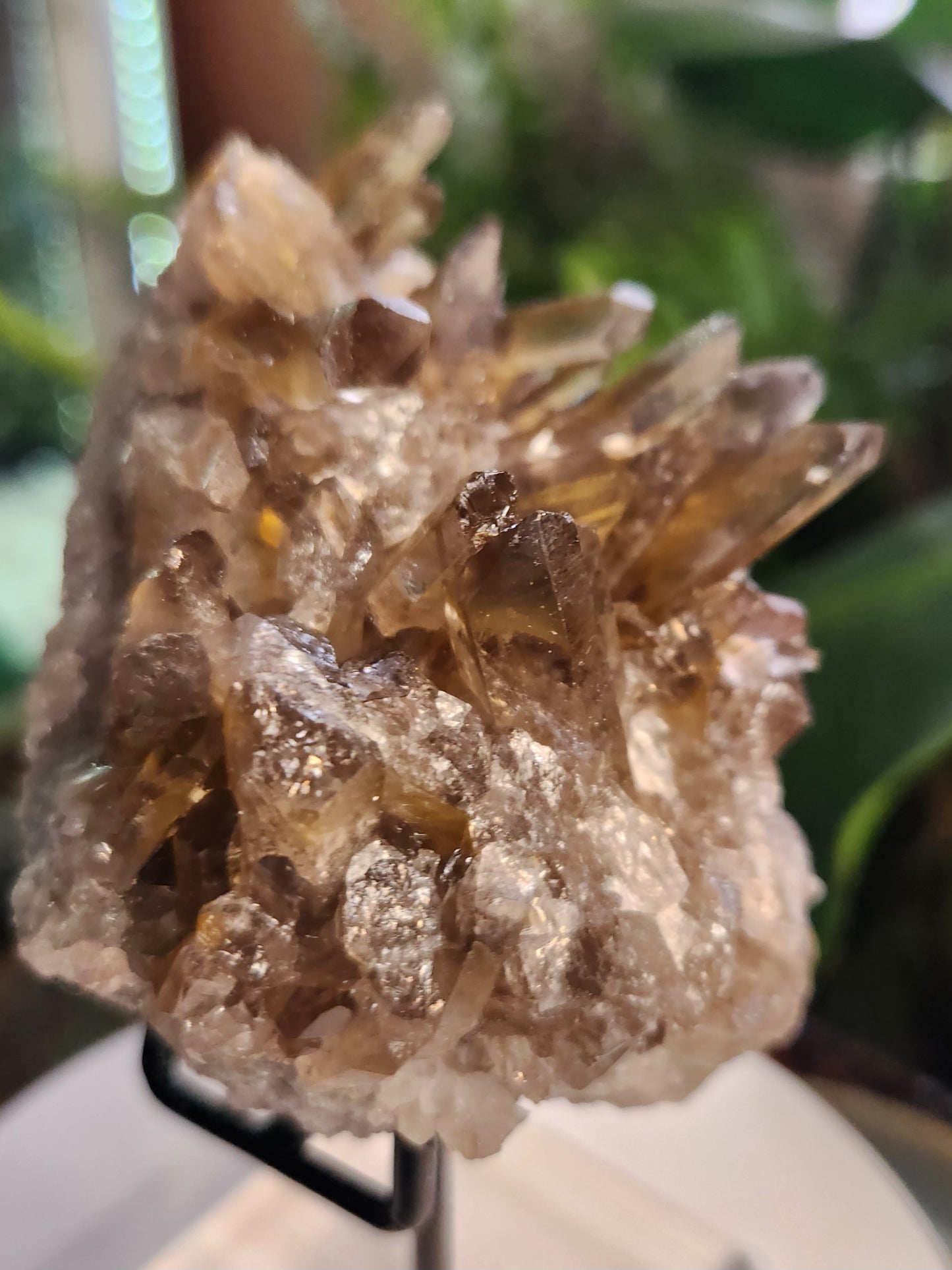 Natural Smoky / Smokey Quartz Crystal Cluster – Dark Smoky Quartz on Matrix - Brazil