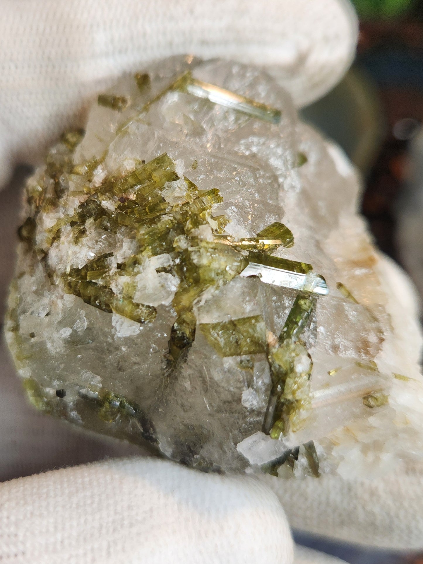 Green Tourmaline Crystals on Quartz Matrix | Natural Elbaite Collector Specimen