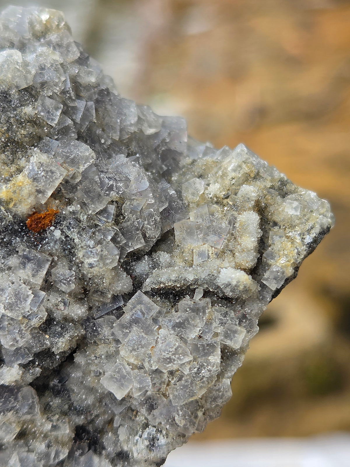 Natural Fluorite Crystal Cluster on Matrix | Raw Fluorite Mineral Specimen