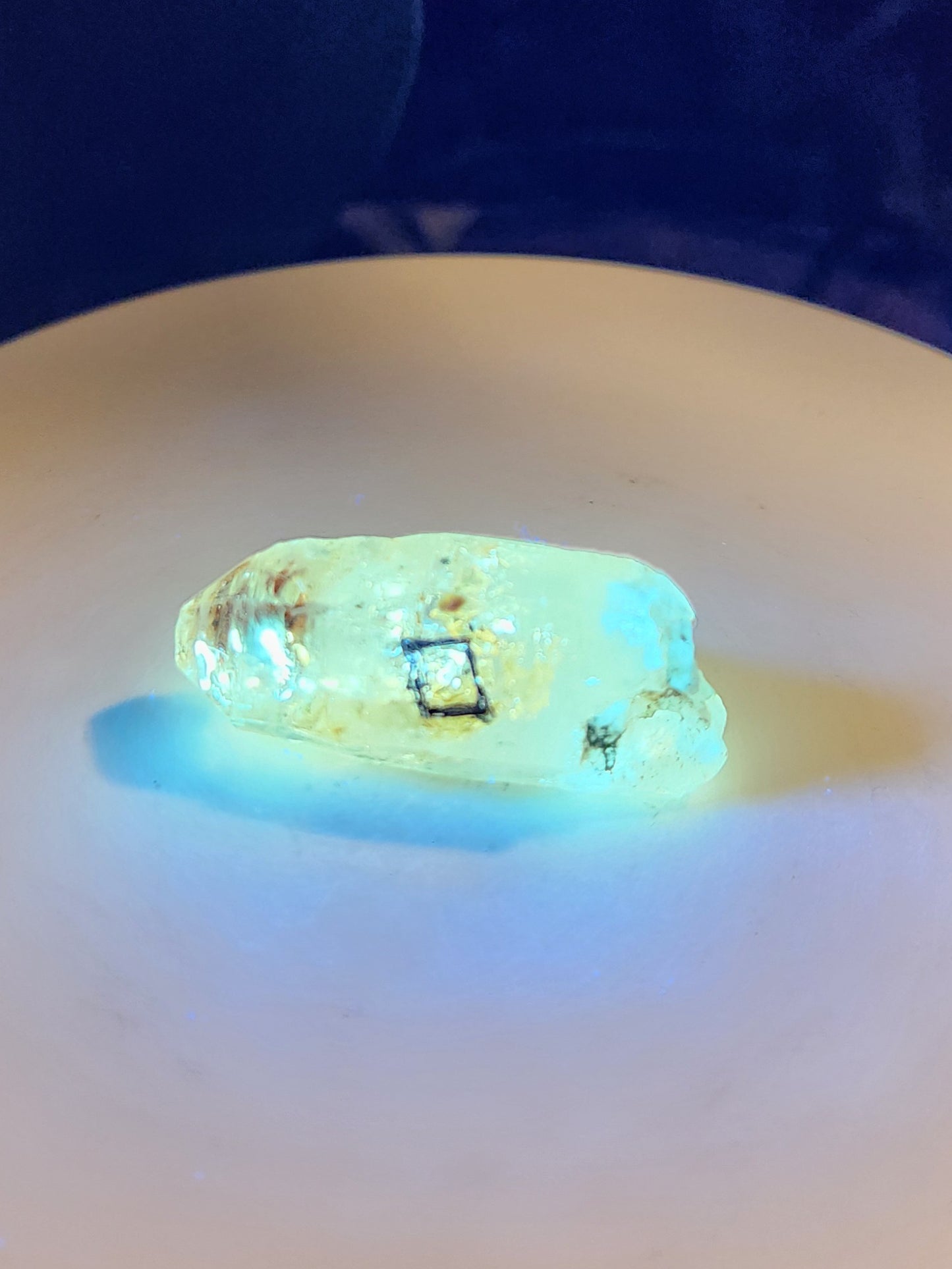 Petroleum Quartz Crystal with Enhydro – Intense UV Reactive Specimen | Collector Mineral & Energy Stone