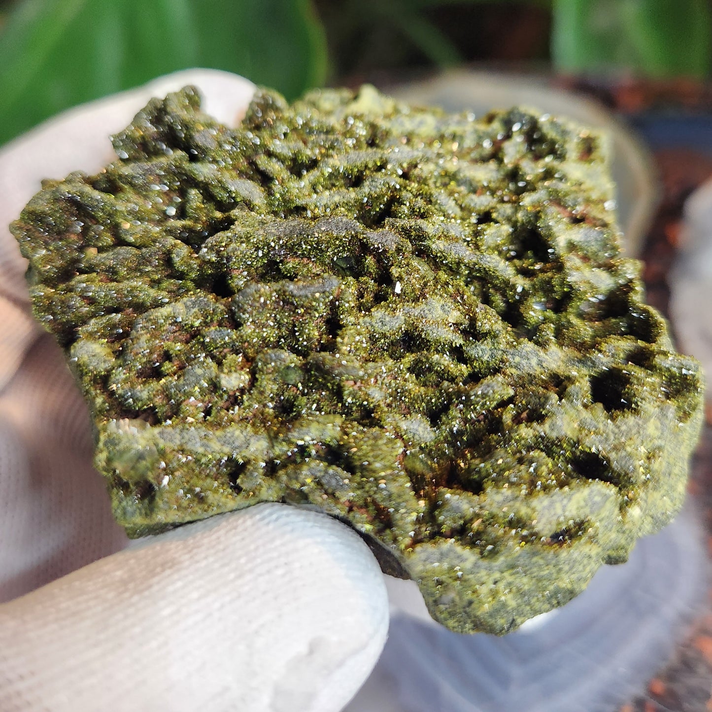 Rare Forest Epidote with Druzy Quartz – Sparkling Green Growth Crystal | Collector Mineral | Grounding & Abundance Stone