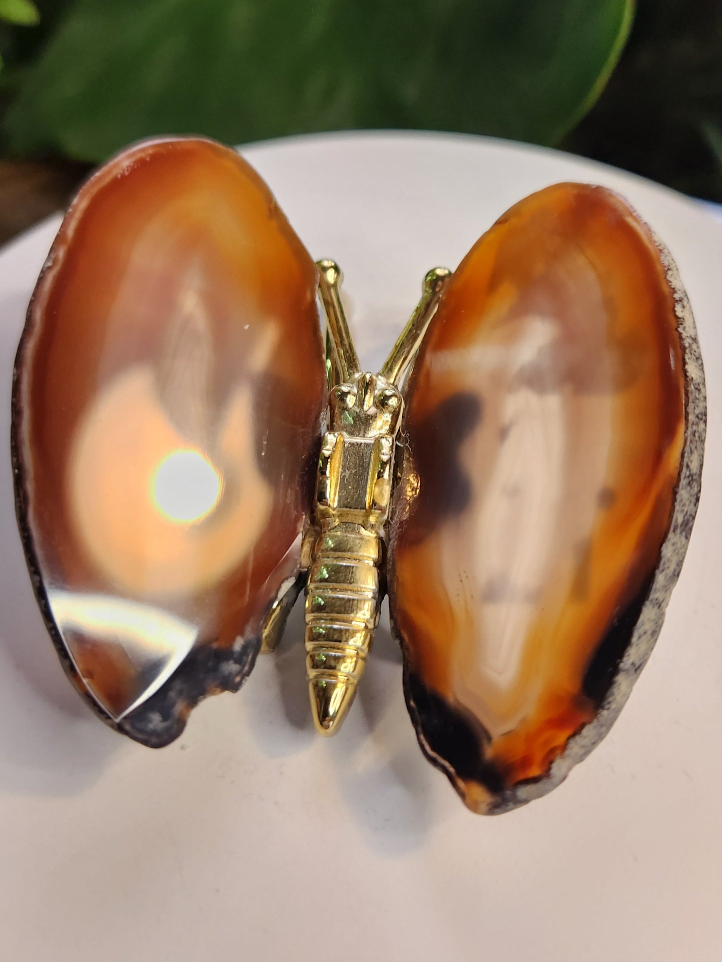 Natural Banded Agate Butterfly – Polished Agate Wings on Metal Body