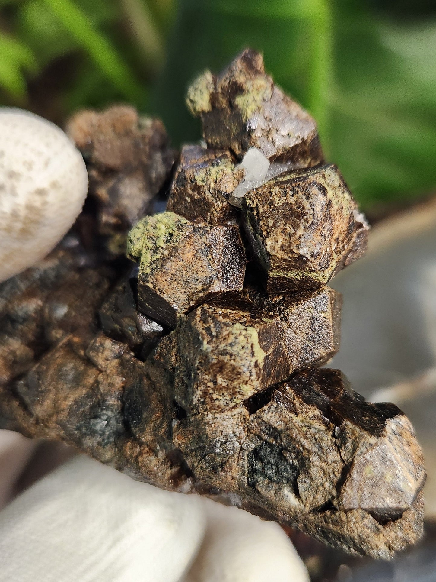 Natural Garnet on Matrix with Green Epidote • Raw Almandine Garnet Cluster • Collector Mineral Specimen • Healing & Grounding Root Chakra Stone