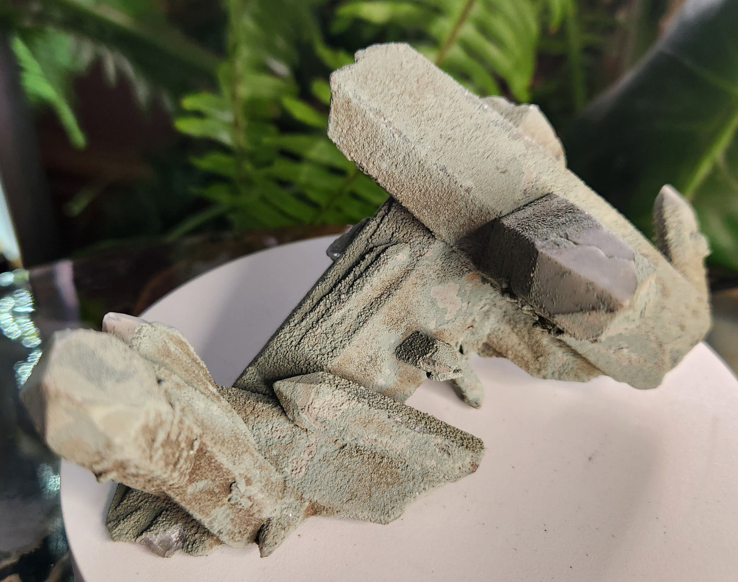 Chlorite-Coated Quartz Cluster • Rare Velvety Green Growth • Natural Formation