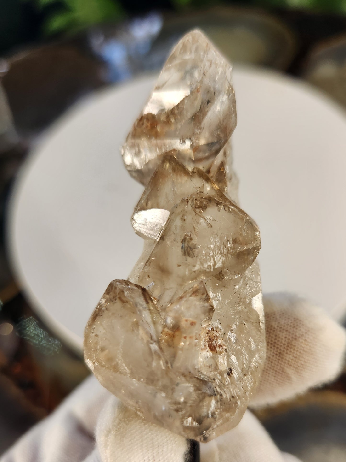 Elestial Quartz Crystal on Stand | Skeletal / Alligator Quartz | Natural Quartz Formation