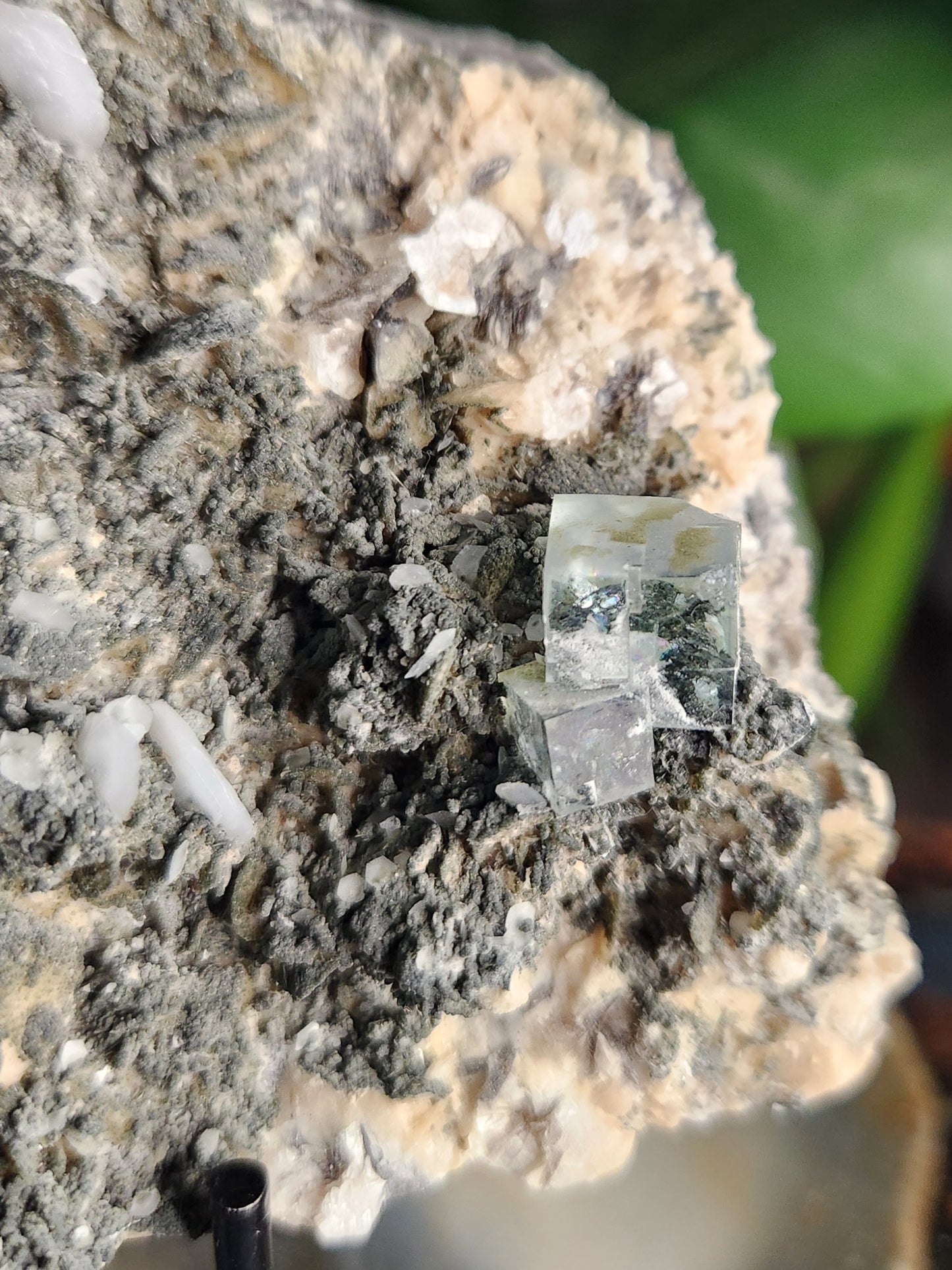 Natural Cubic Fluorite on Matrix – Sharp Green Fluorite Crystals with Textured Host Rock | Collector-Grade Mineral Specimen