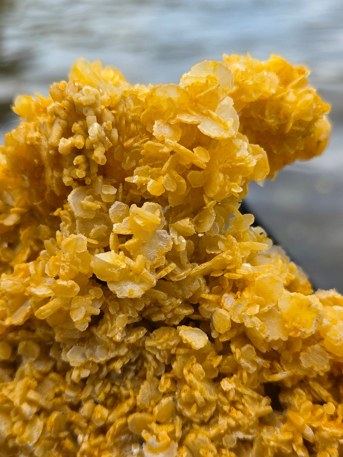 Large Golden Calcite Crystal Cluster | Large Orange Calcite Mineral Specimen