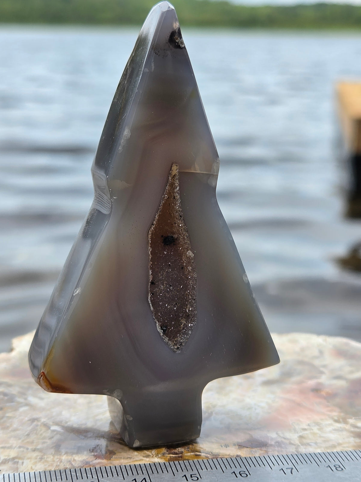 Druzy Agate Tree | Polished Agate Crystal with Druzy Pocket