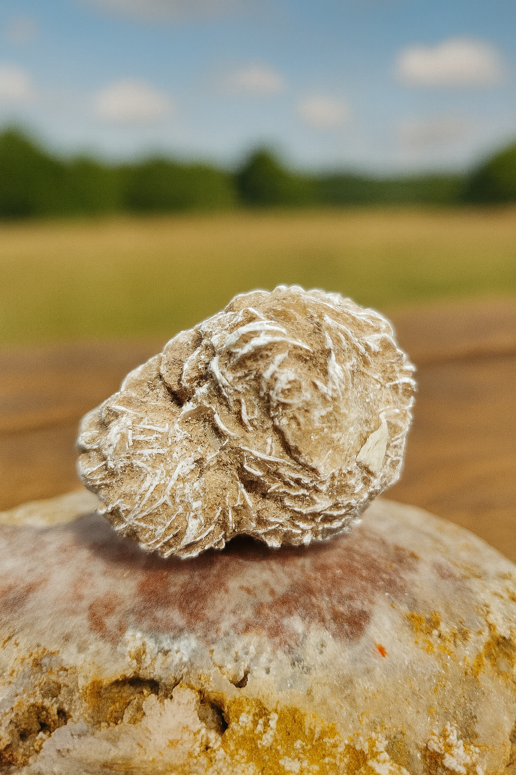 Natural Desert Rose Crystal Cluster – Unique Selenite Sand Formation for Grounding, Protection & Peaceful Energy