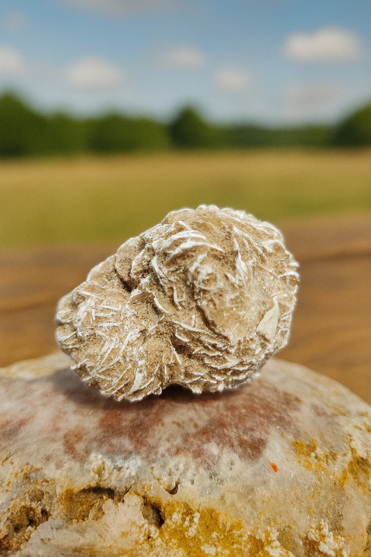 Natural Desert Rose Crystal Cluster – Unique Selenite Sand Formation for Grounding, Protection & Peaceful Energy