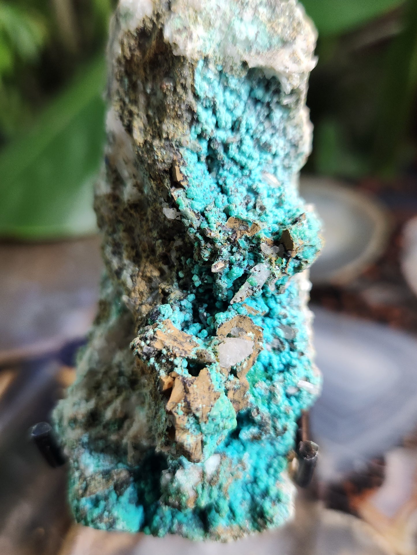 Aurichalcite on Matrix with Quartz – Vibrant Blue-Green Copper Zinc Carbonate Crystal