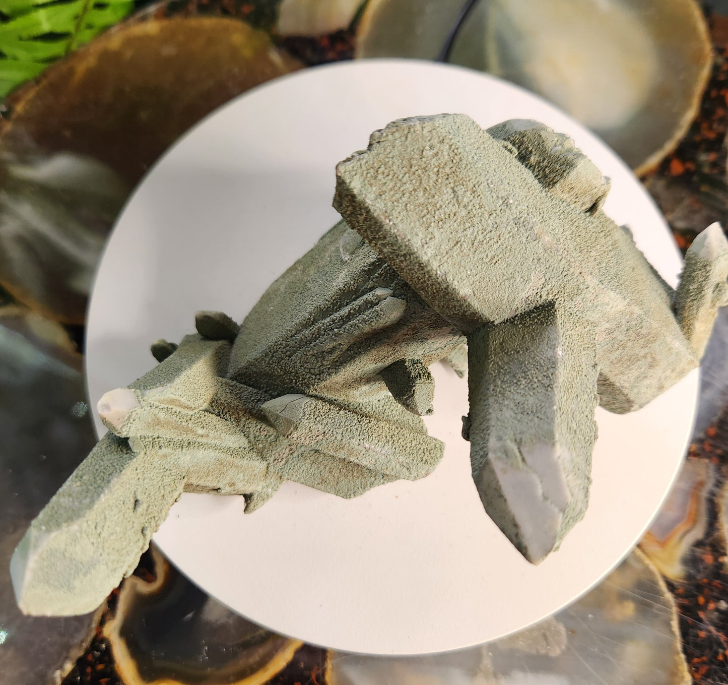 Chlorite-Coated Quartz Cluster • Rare Velvety Green Growth • Natural Formation