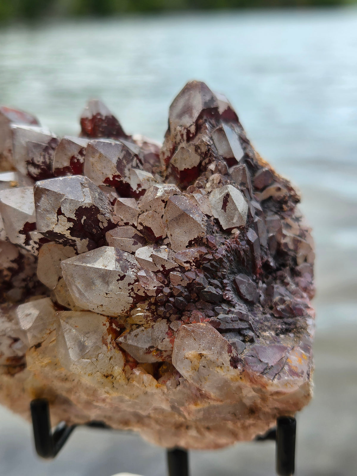 Black Pineapple Quartz with Hematite | Red Hematite Quartz Crystal Cluster