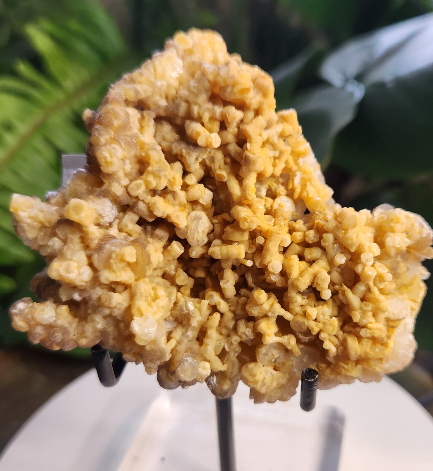 Gorgeous Natural Orange Calcite Crystal Cluster – Raw Orange Calcite on Matrix
