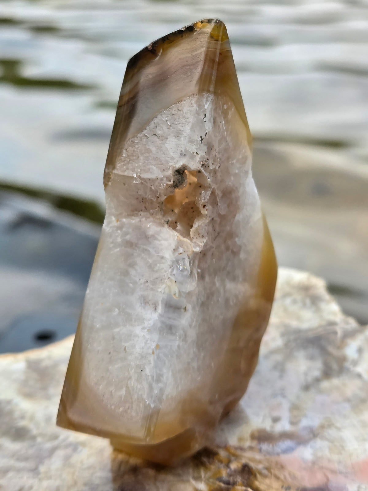 Druzy Agate Tree | Polished Agate Crystal with Druzy Pocket