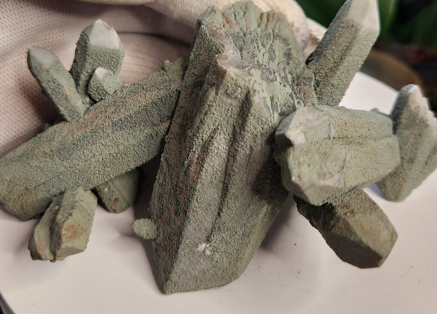 Chlorite-Coated Quartz Cluster • Rare Velvety Green Growth • Natural Formation