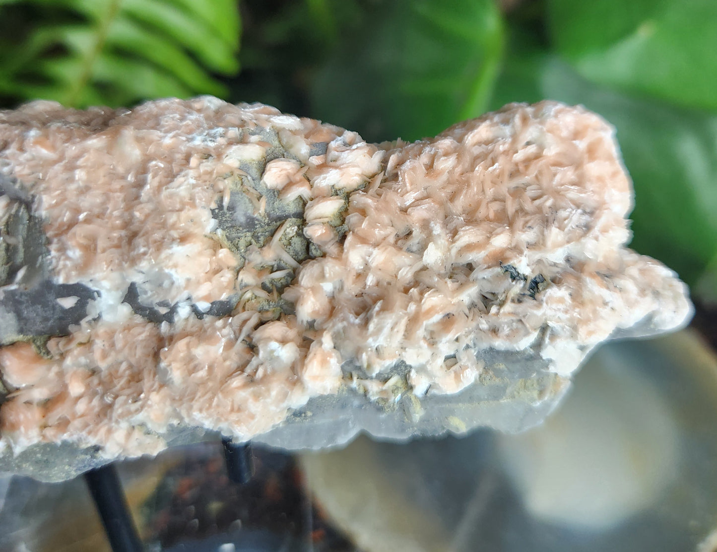 Pink Calcite on Chlorite Quartz with Specularite — Large UV-Reactive Crystal Specimen