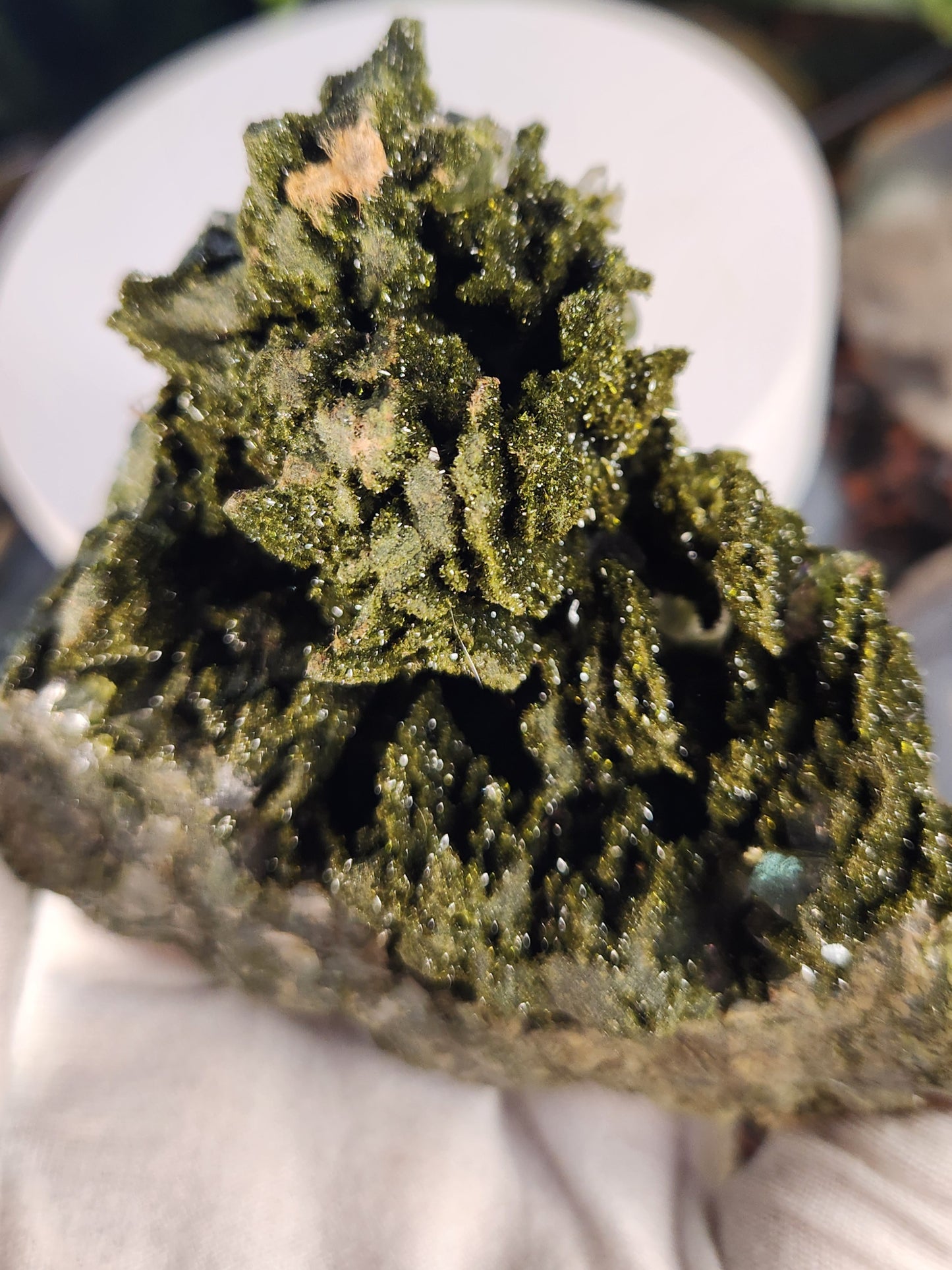 Rare Forest Epidote with Druzy Quartz – Sparkling Green Growth Crystal | Collector Mineral | Grounding & Abundance Stone