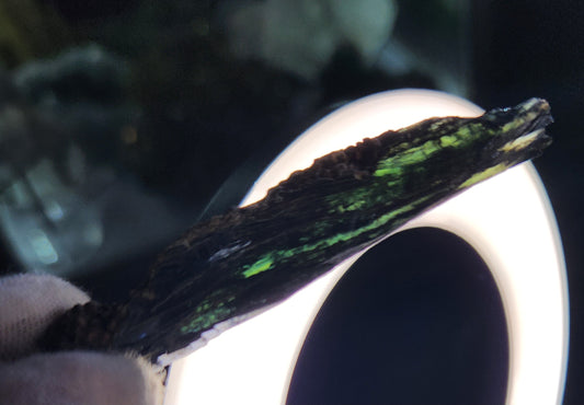 Rare Vivianite Crystal | Natural Blue-Green Vivianite Specimen | One-of-a-Kind Mineral