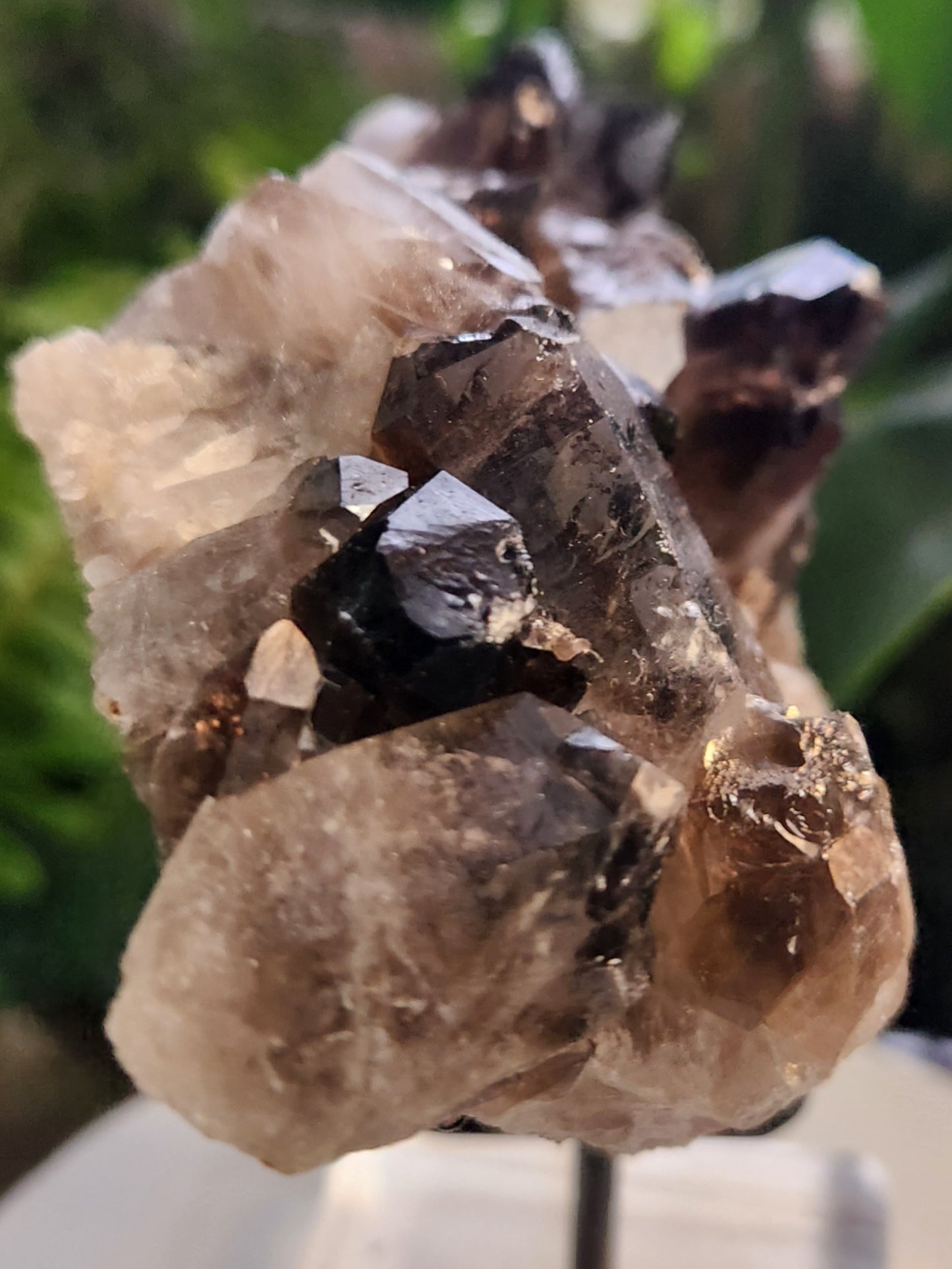 Natural Smoky / Smokey Quartz Crystal Cluster – Dark Smoky Quartz on Matrix - Brazil
