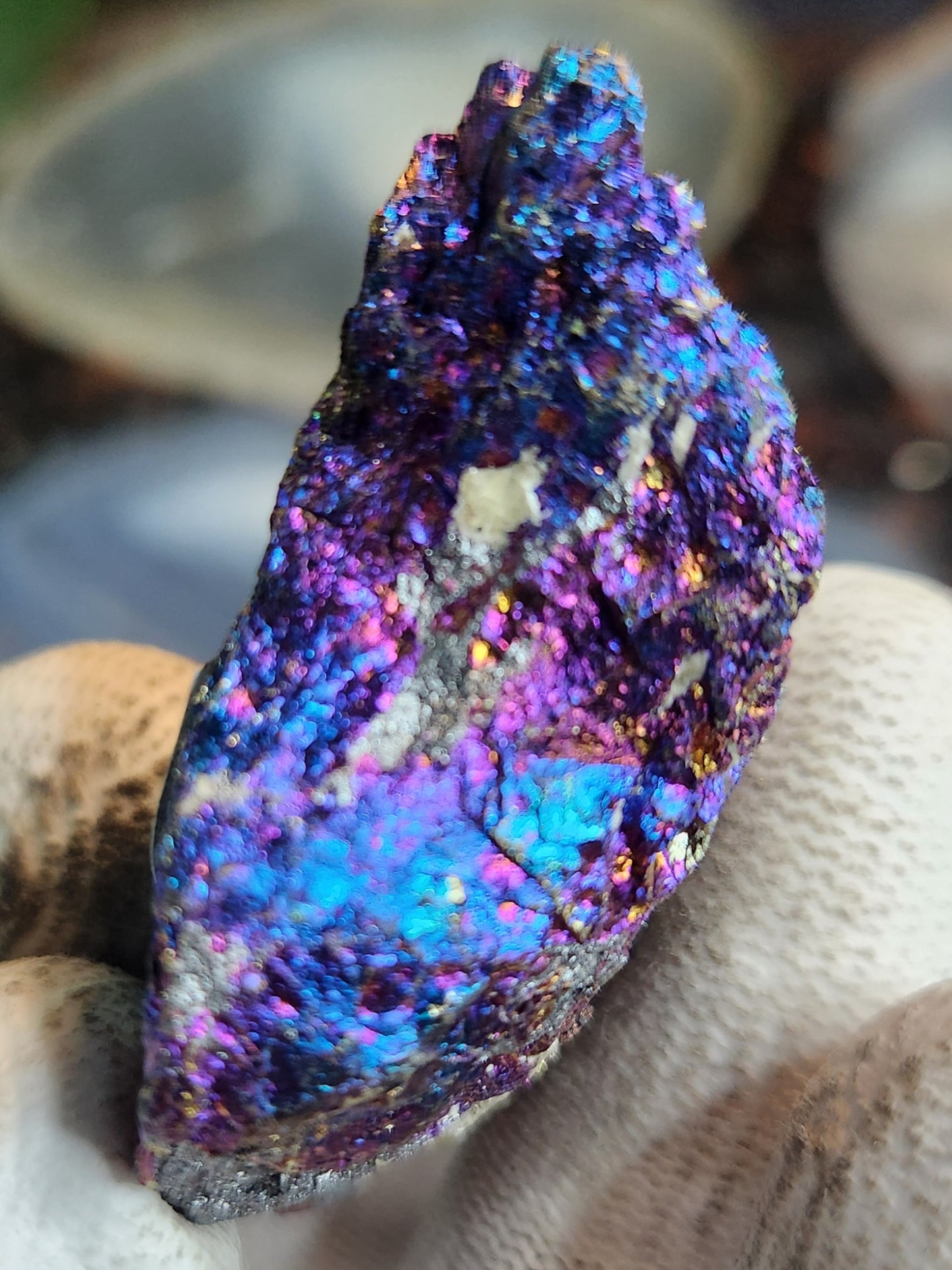 Natural Peacock Ore (Bornite & Chalcopyrite) Iridescent Crystal | Vibrant Rainbow Mineral Specimen