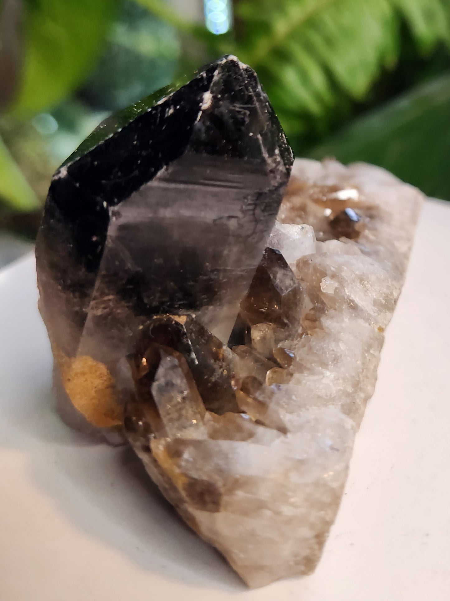 Natural Smoky / Smokey Quartz Crystal Cluster – Dark Smoky Quartz on Matrix - Brazil