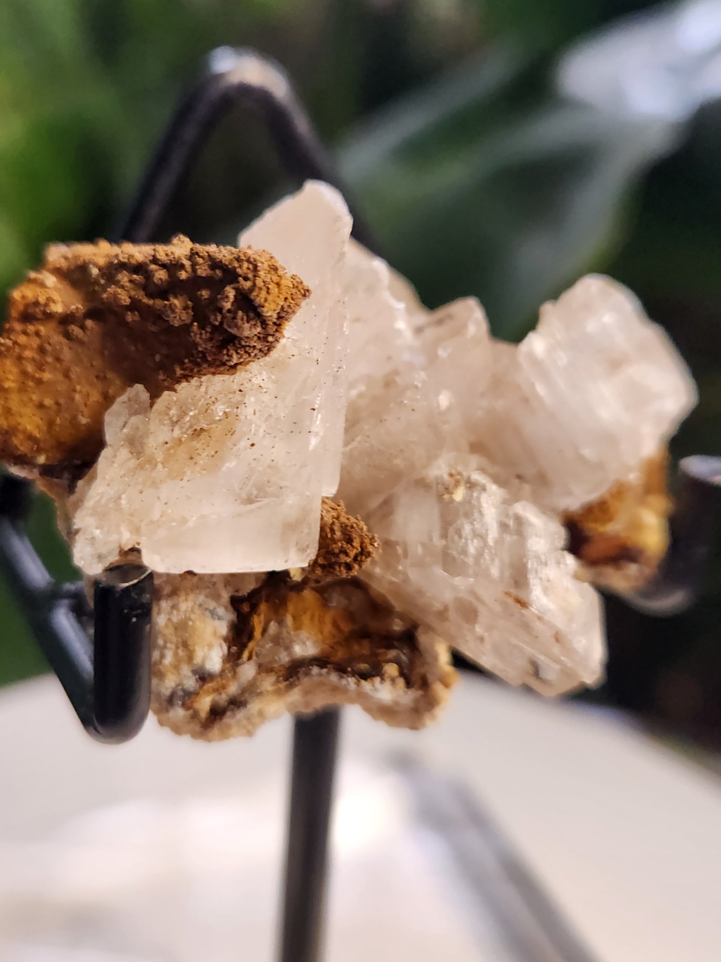 Blade Selenite Crystal Specimen — Natural Satin Spar Gypsum Cluster | Cleansing, Purification, High-Vibration Stone