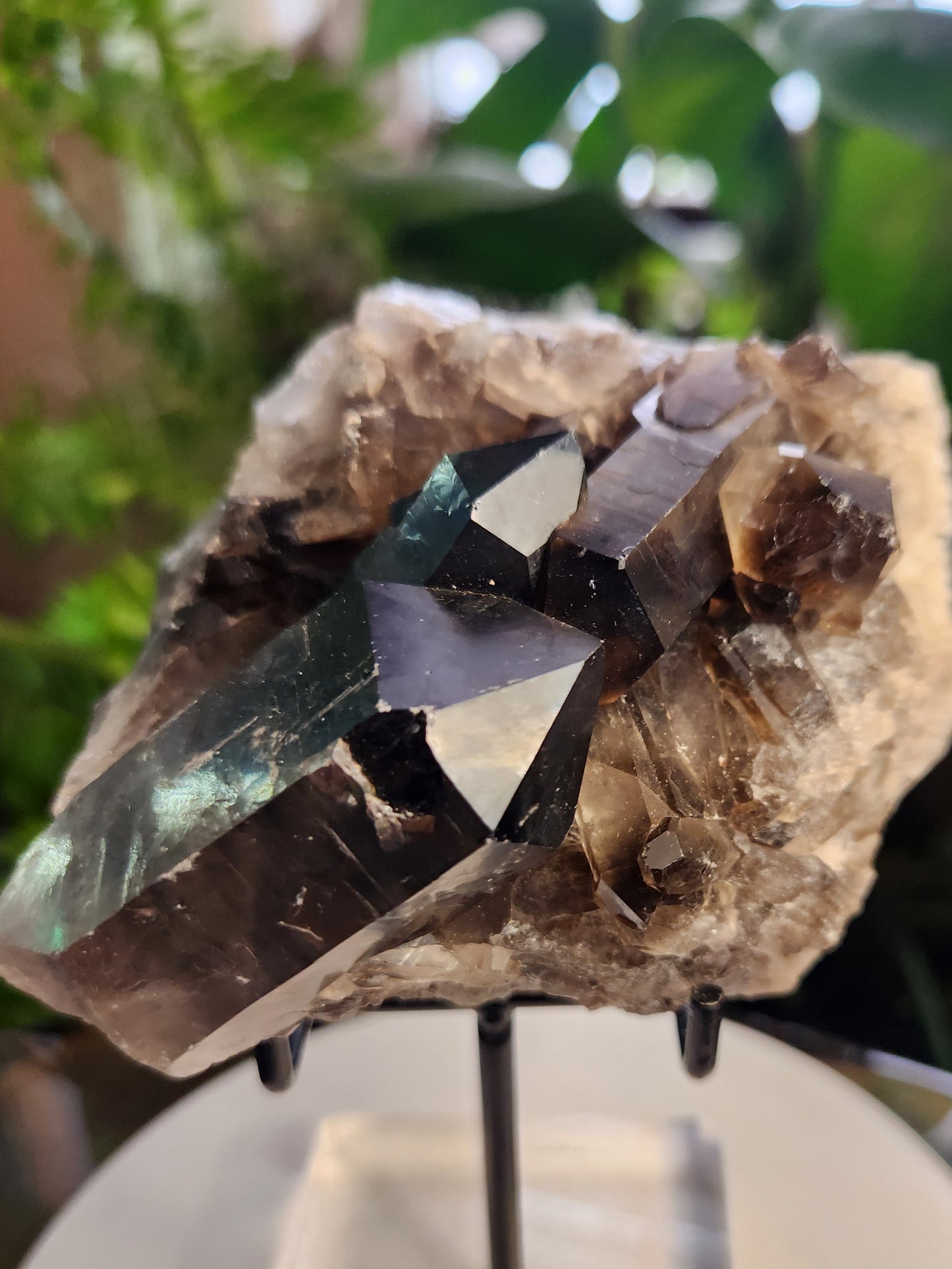 Natural Smoky / Smokey Quartz Crystal Cluster – Dark Smoky Quartz on Matrix - Brazil