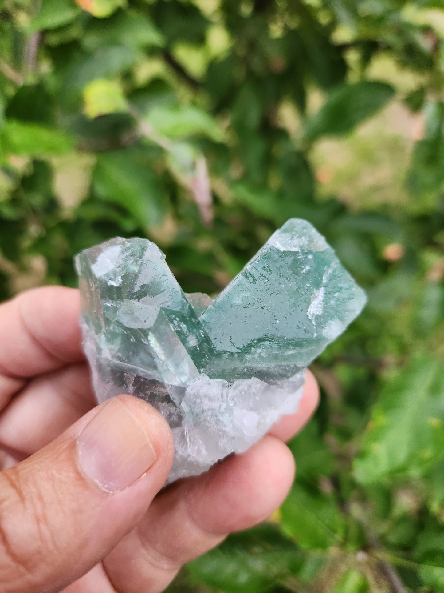 Green Fluorite - Powerful Heart Chakra Stone of Growth and Renewal.