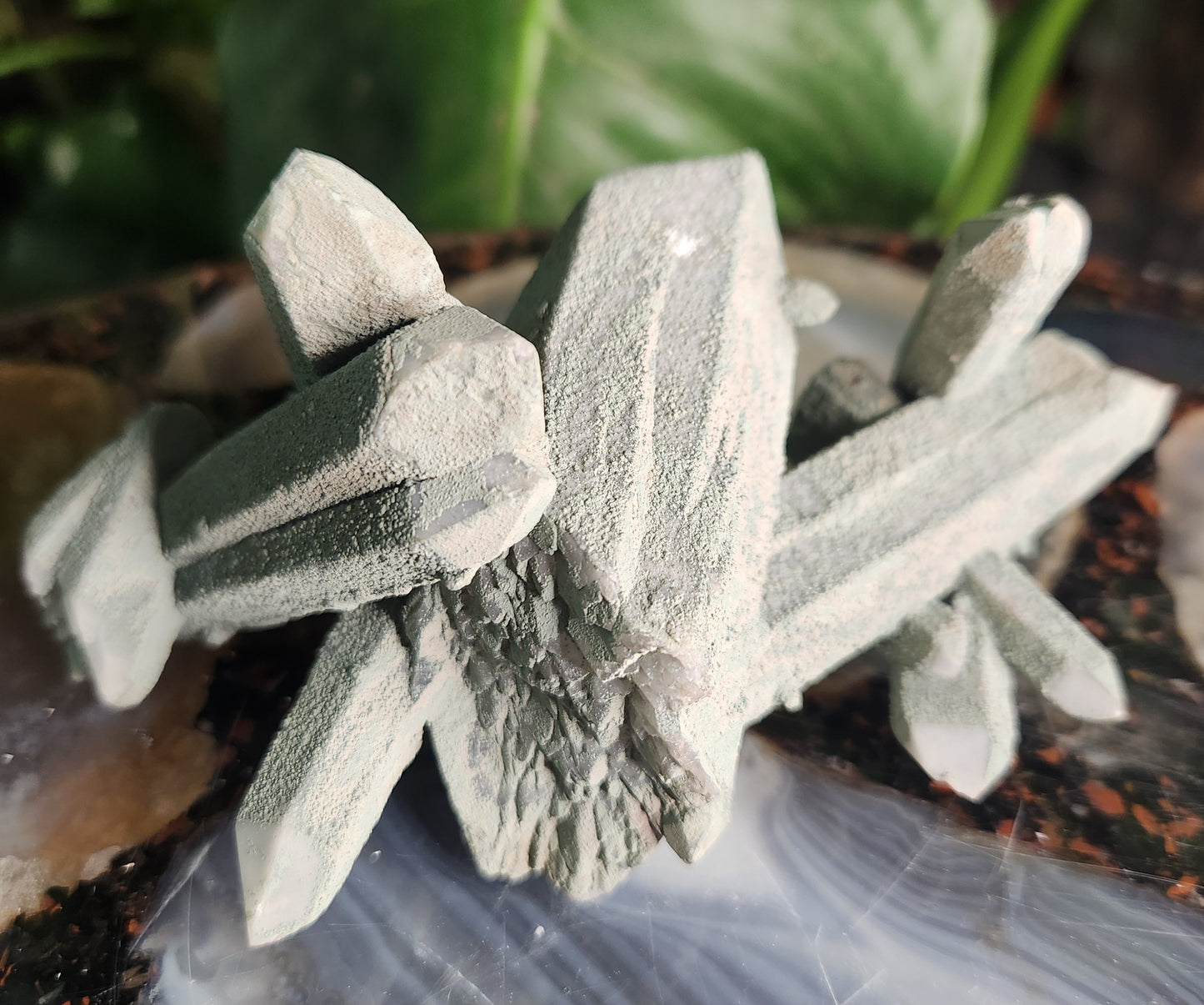 Chlorite-Coated Quartz Cluster • Rare Velvety Green Growth • Natural Formation