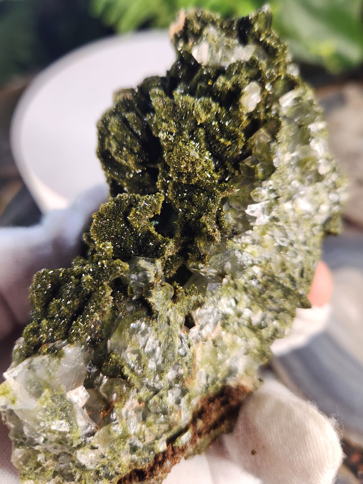 Rare Forest Epidote with Druzy Quartz – Sparkling Green Growth Crystal | Collector Mineral | Grounding & Abundance Stone