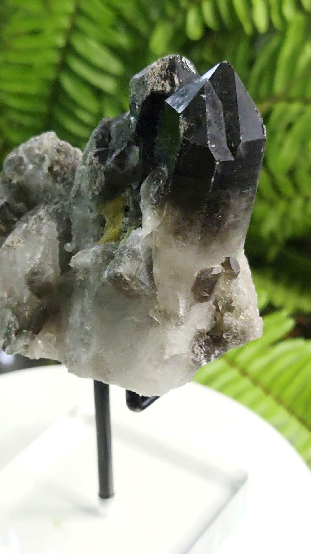 Natural Smoky Quartz Crystal Cluster from Brazil with Calcite Pocket | Mineral Specimen