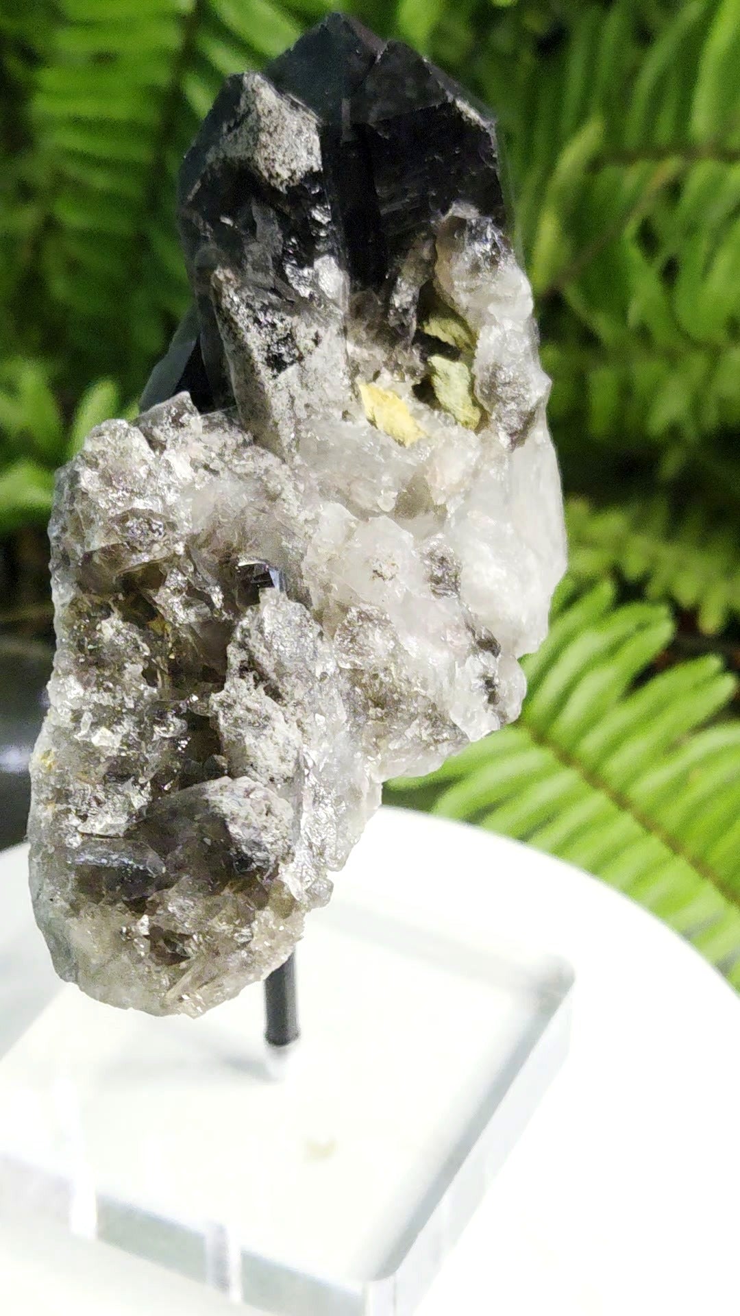Natural Smoky Quartz Crystal Cluster from Brazil with Calcite Pocket | Mineral Specimen