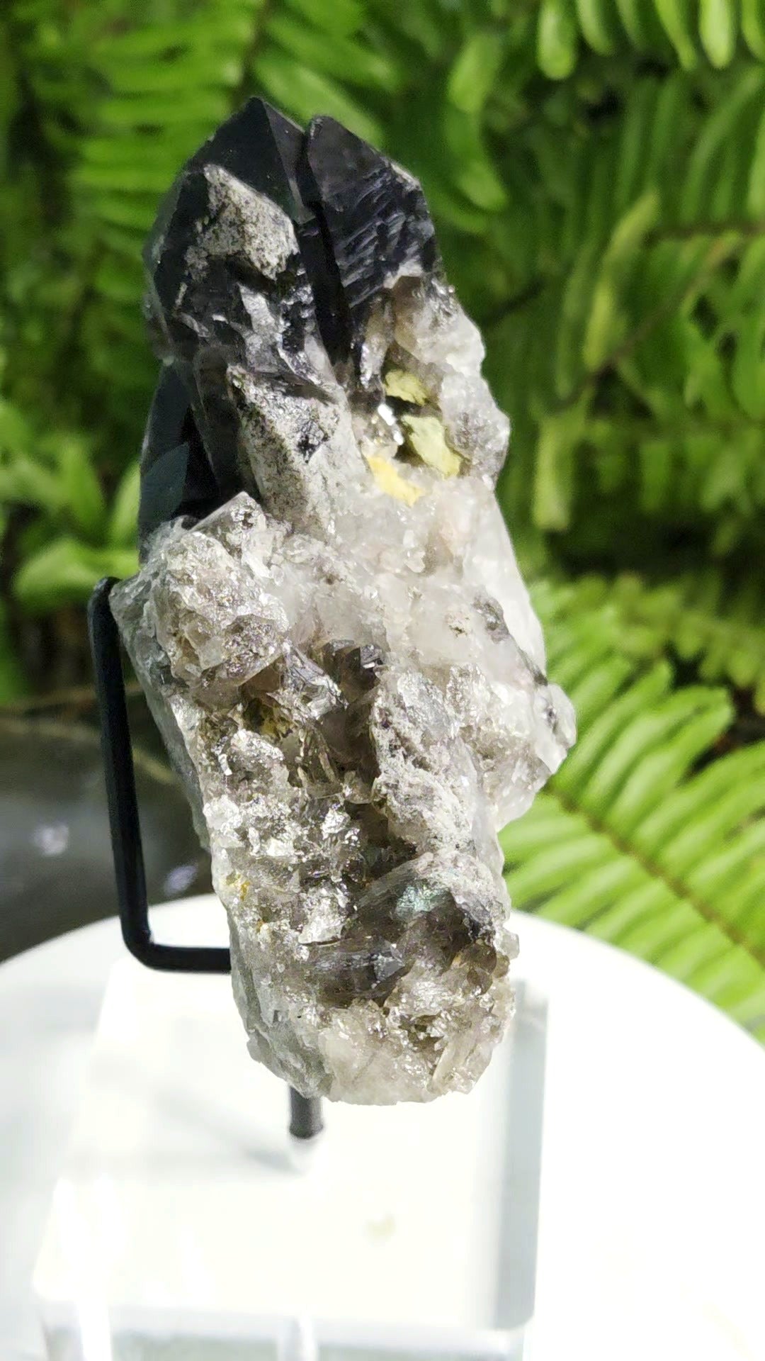 Natural Smoky Quartz Crystal Cluster from Brazil with Calcite Pocket | Mineral Specimen
