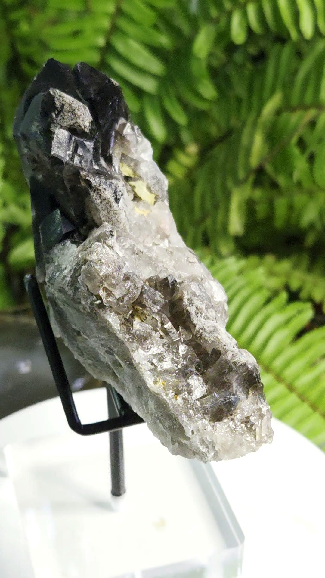 Natural Smoky Quartz Crystal Cluster from Brazil with Calcite Pocket | Mineral Specimen