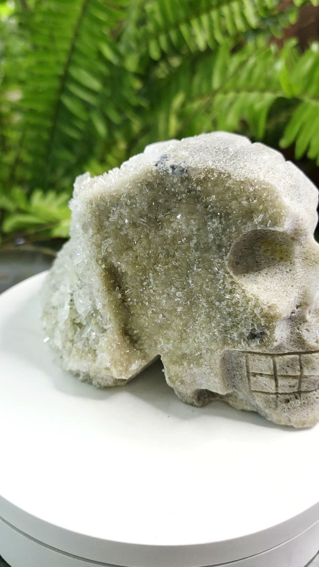 Druzy Quartz on Sphalerite hand-carved crystal skull - angle 2