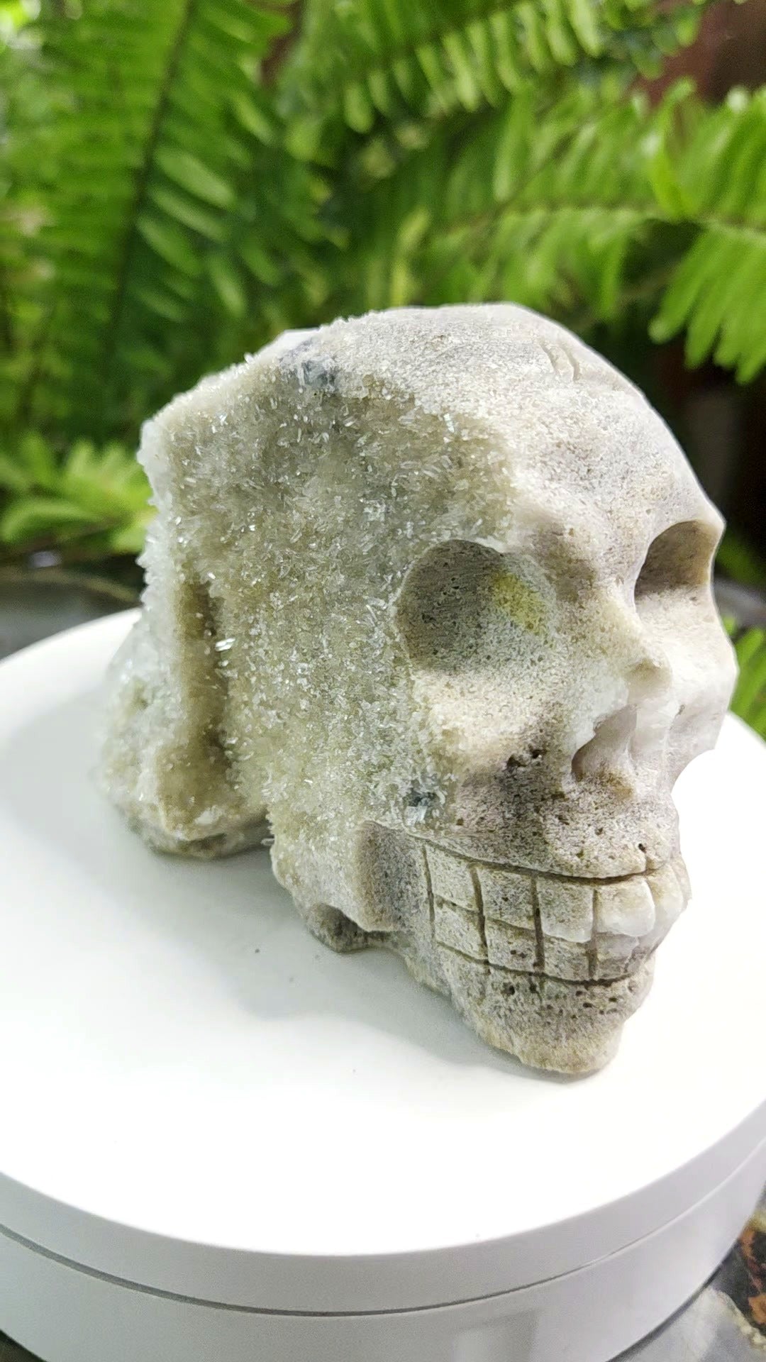 Druzy Quartz on Sphalerite hand-carved crystal skull - angle 3