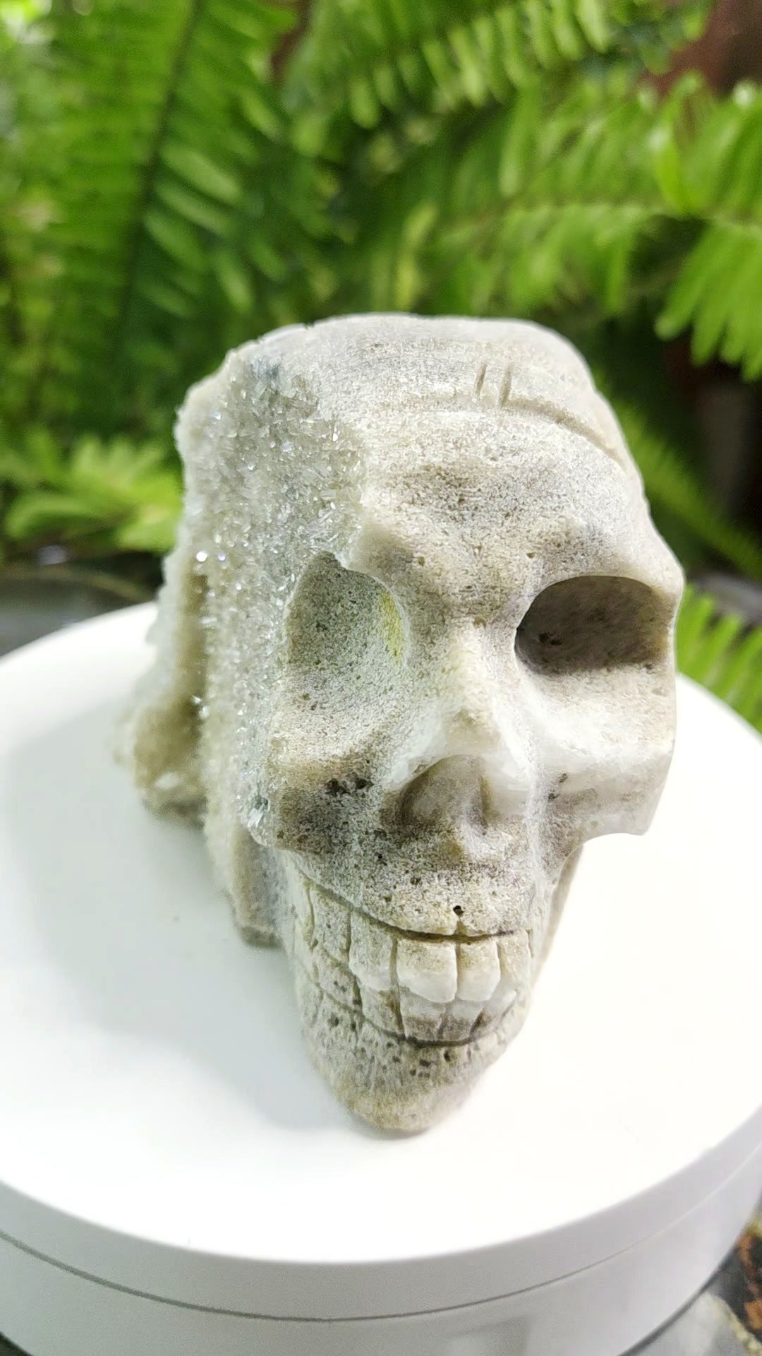 Druzy Quartz on Sphalerite hand-carved crystal skull - angle 4